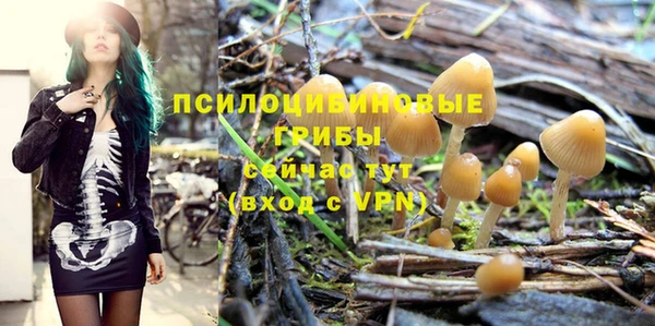 меф Белокуриха