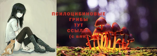 стаф Богородицк