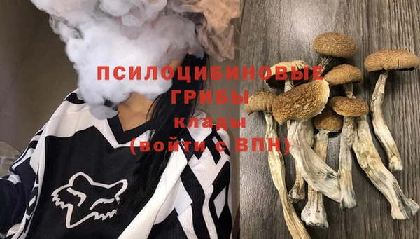 кокаин перу Богданович
