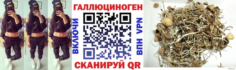 Псилоцибиновые грибы GOLDEN TEACHER  Благодарный 